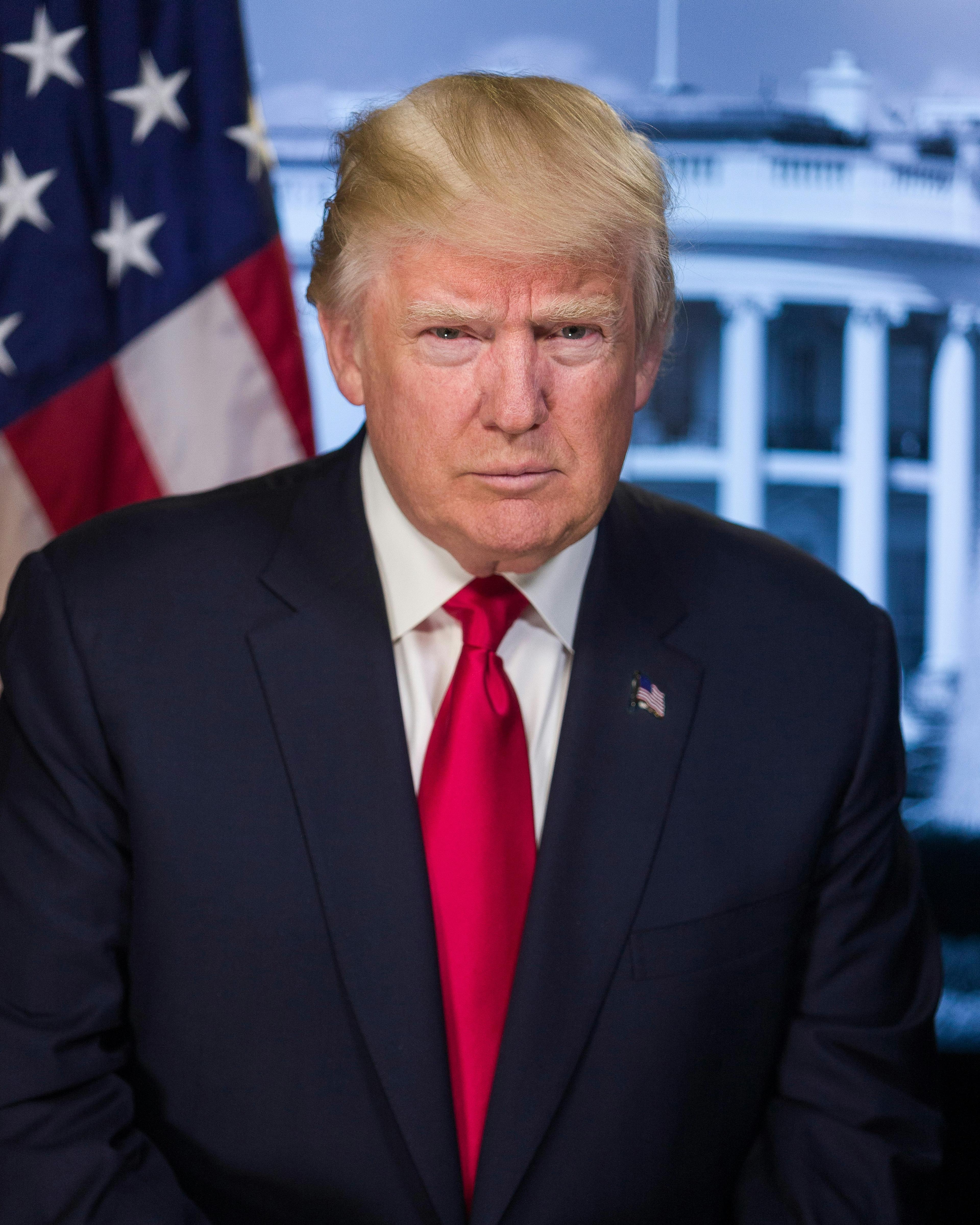 A portrait of President Trump