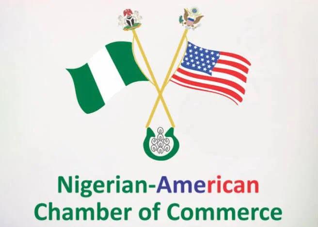 Nigerian-American Flag